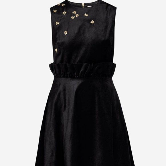 Ted Baker London Dresses & Skirts - Ted Baker London Queen Bee Raffle Waist Dress